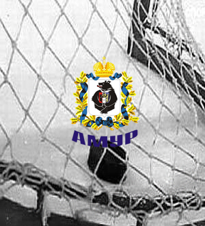 Результаты ХК Амур